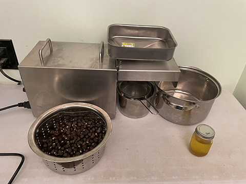 Oil Fron Nuts Making Xanthoceras Sorbifolium Oil