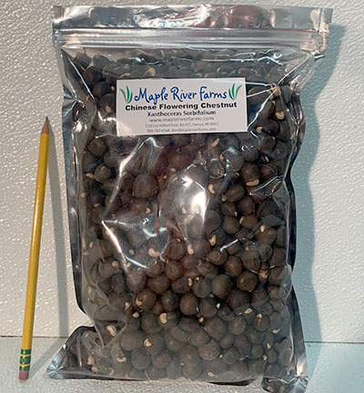 2lb Seed/Nut Bag 2lb Seed/Nut Bag