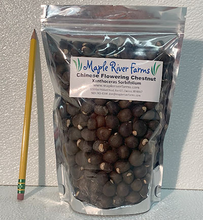 300 Seed/Nut Bag 300 Seed/Nut Bag