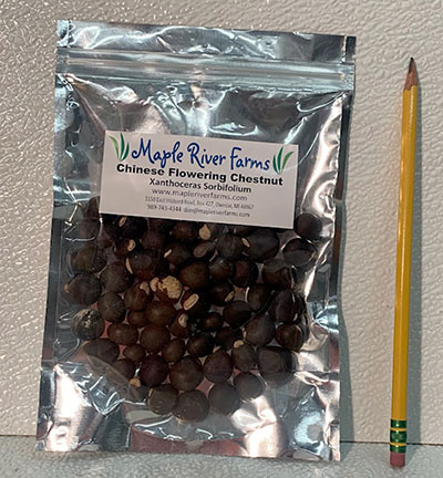 50 Seed/Nut Bag 50 Seed/Nut Bag