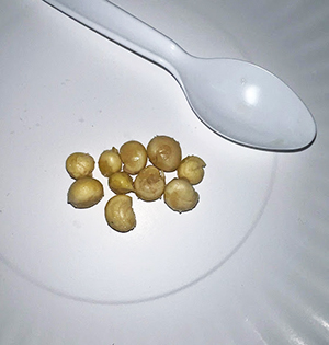 Roasted Nuts Roasted Nuts