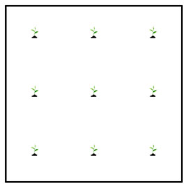 9 tree planting grid with 5 foot spacing. 9 tree planting grid with 5 foot spacing.